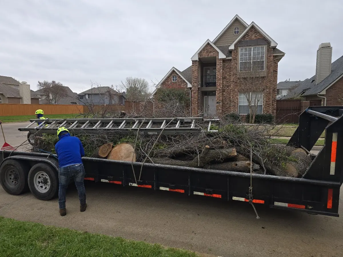 Expert Tree Removal with proper safety equipment in Westmoreland